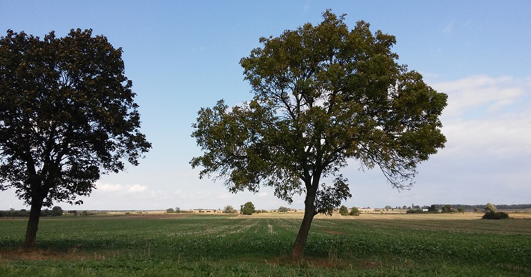 Bild-11.jpg Bild-11.jpg