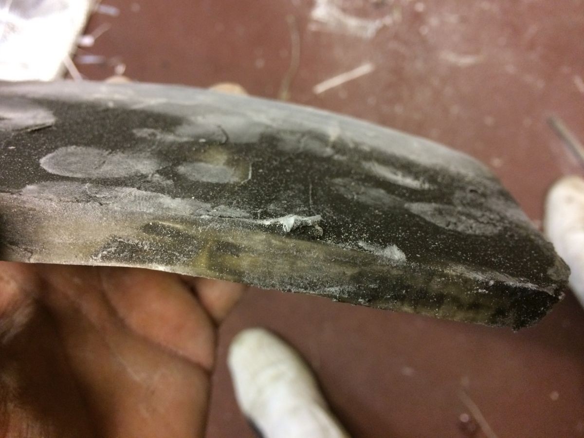 blech2.jpg blech2.jpg