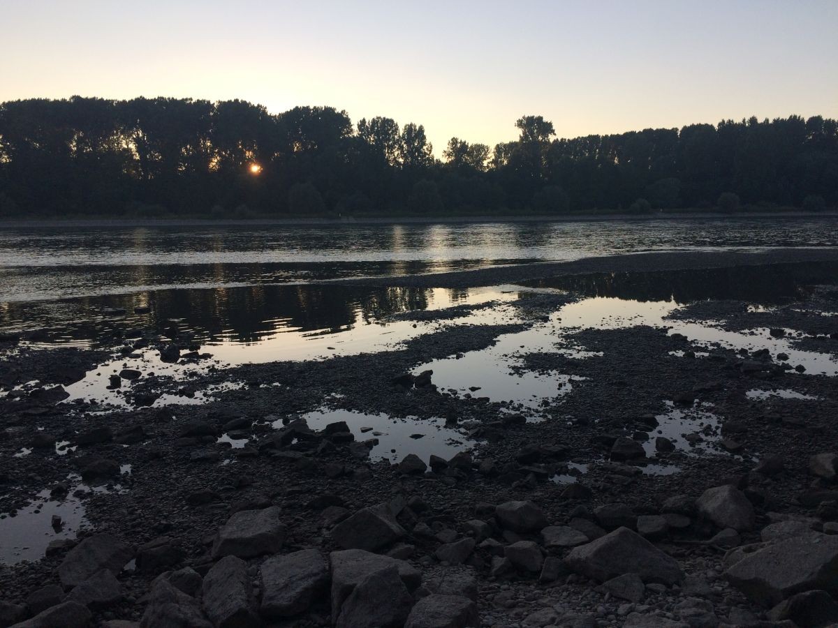 derbe-fertig3.jpg derbe-fertig3.jpg