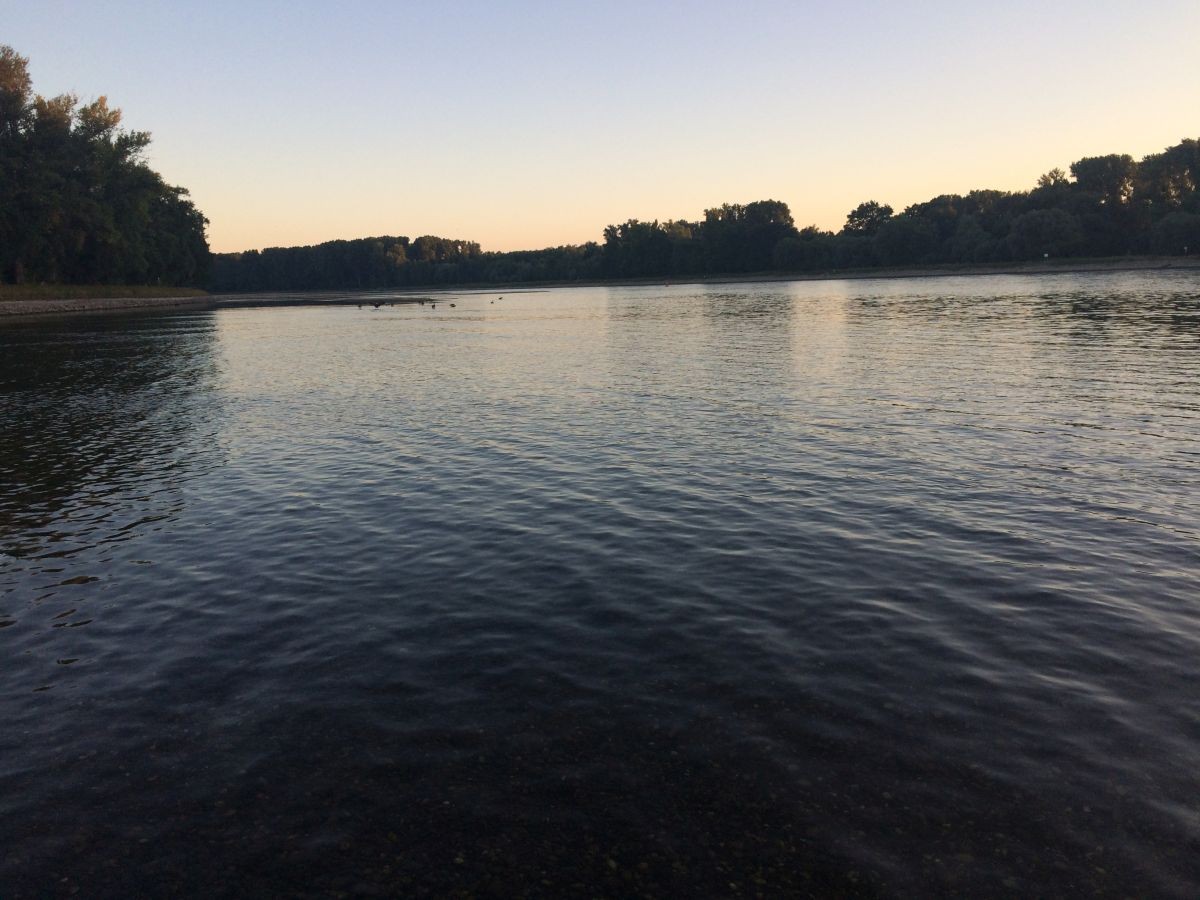 mitten-im-rhein1.jpg mitten-im-rhein1.jpg