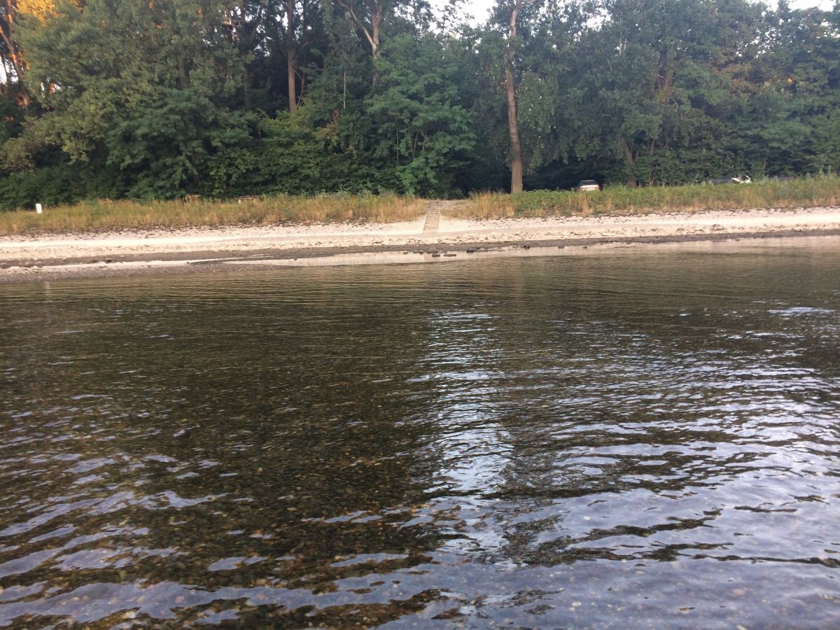 mitten-im-rhein2.jpg mitten-im-rhein2.jpg