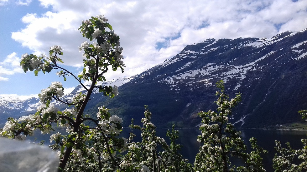 20180518_131619.jpg 20180518_131619.jpg