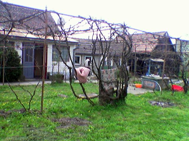 Bild37.jpg Bild37.jpg