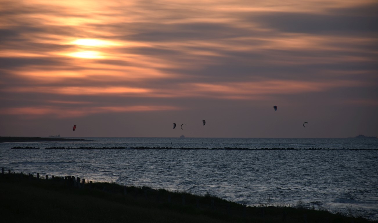 DSC_3229.JPG